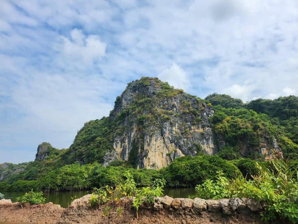 Aroma Cat Ba Sea View Hotel