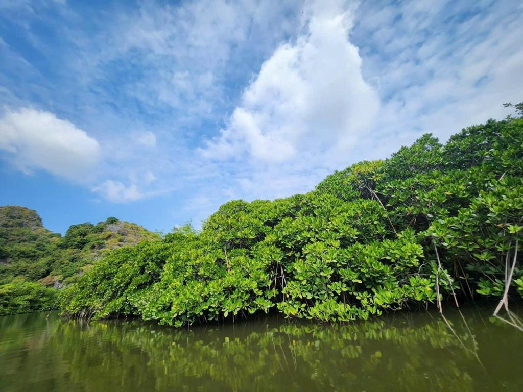 Aroma Cat Ba Sea View Hotel