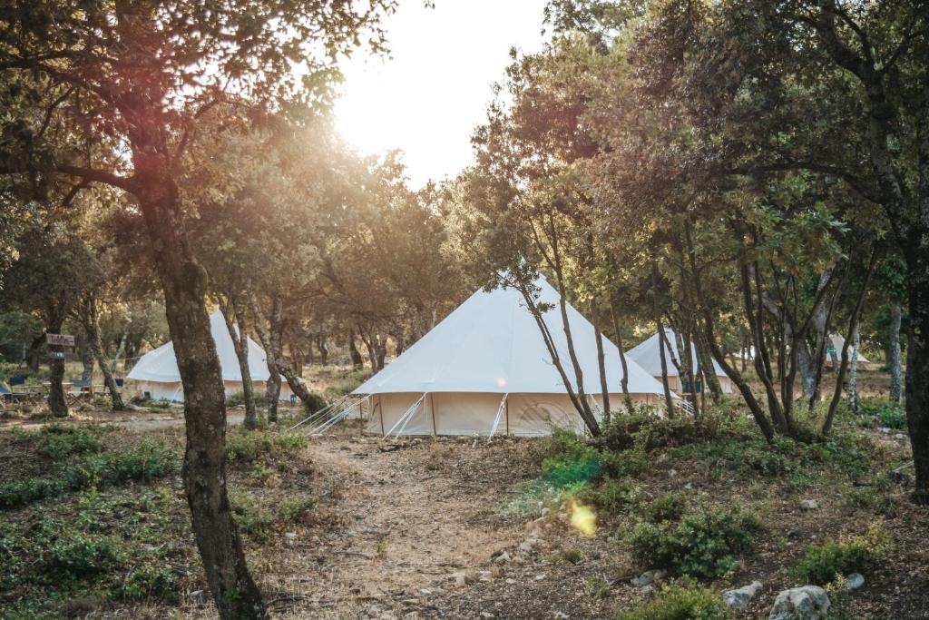 une tente blanche au milieu d'une forêt dans l'établissement Lodg'ing Nature Camp Luberon, à Saint-Michel-lʼObservatoire