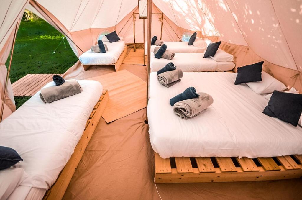 - un groupe de 4 lits dans une tente dans l'établissement Lodg'ing Nature Camp Presqu'île Crozon, à Lanvéoc