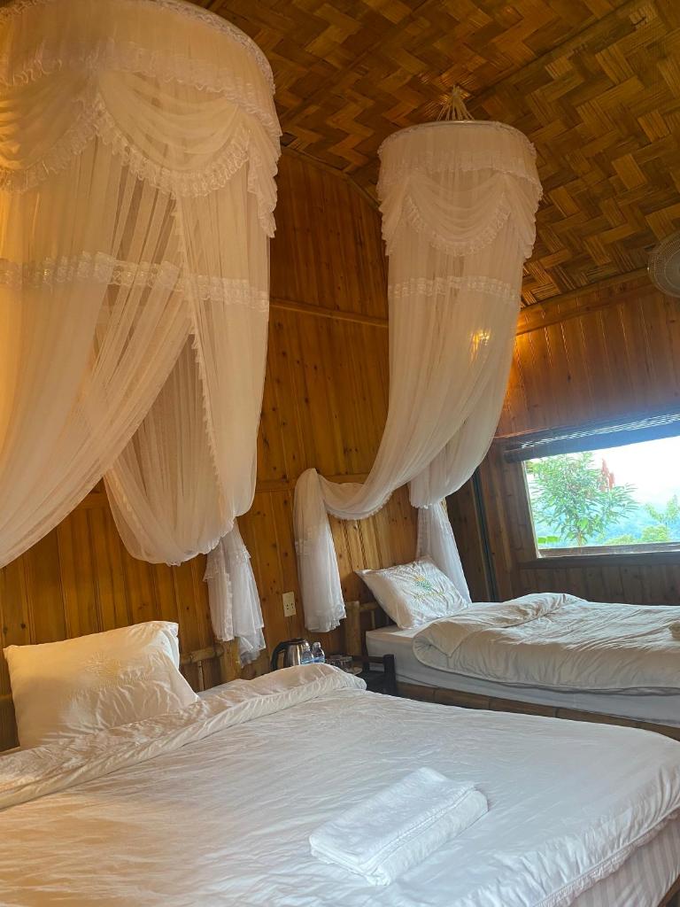 Bungalow Hoàng Su Phì