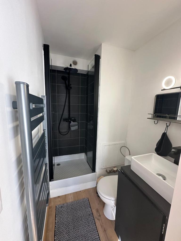 une salle de bain avec une douche, des toilettes et un lavabo dans l'établissement SKI AUX PIEDS, à Vars