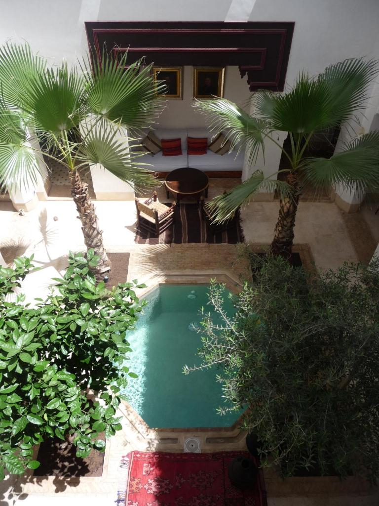 - une vue sur la piscine située dans une cour bordée de palmiers dans l'établissement Riad Matham, à Marrakech