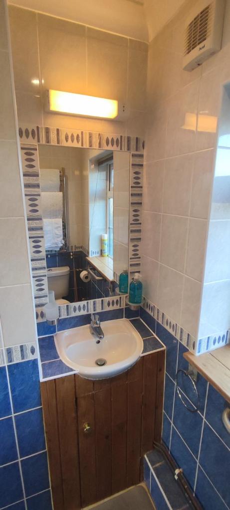 Shear Annexe Flat 8