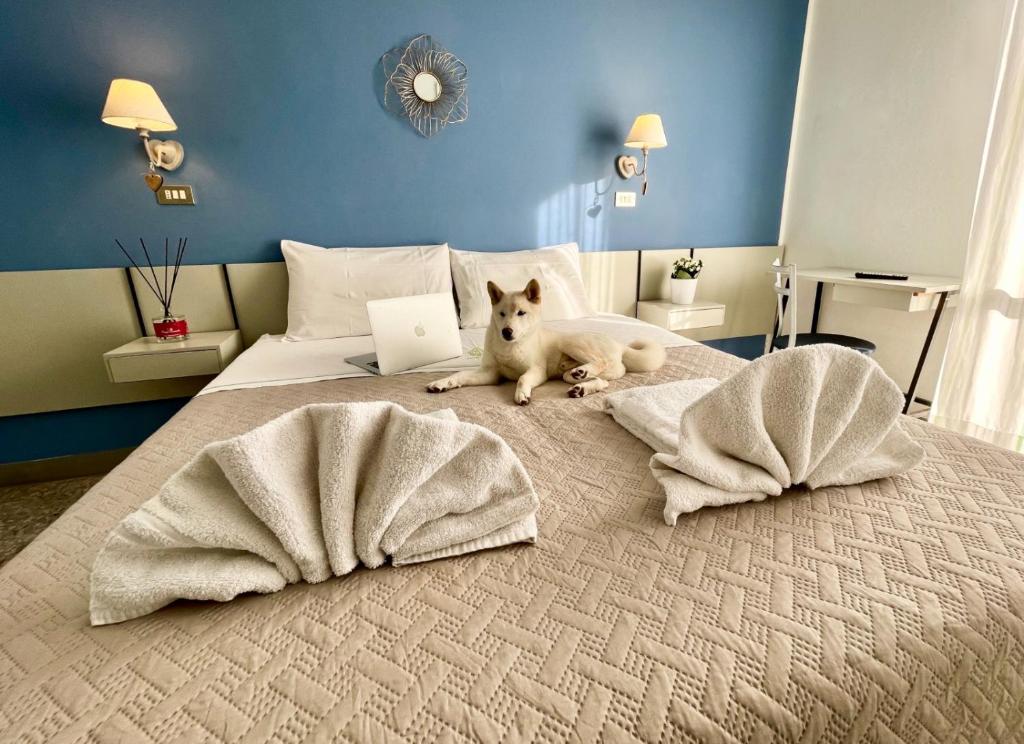 un chien dormant sur un lit avec un ordinateur portable dans l'établissement Hotel Alfa - SPIAGGIA INCLUSA con Formula All Inclusive, à Rimini
