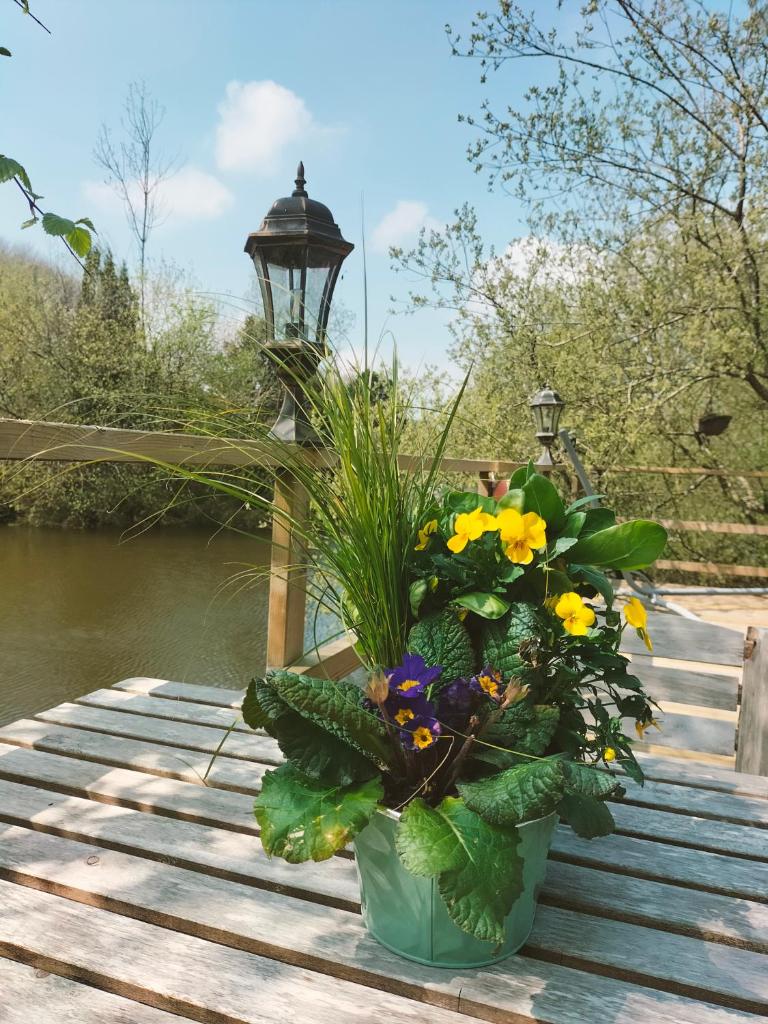 un vase rempli de fleurs sur une table en bois dans l'établissement Cabane perchée avec jacuzzi, à La Roche-Maurice