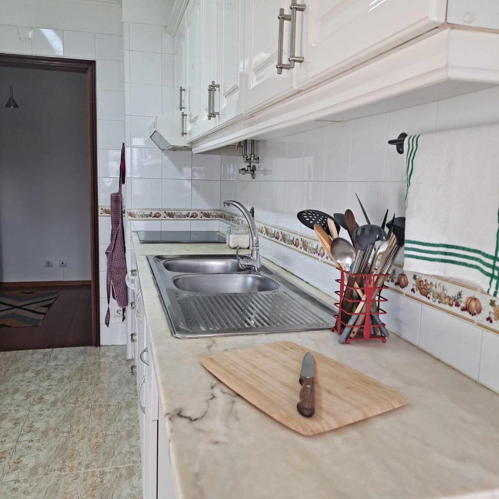 Casa das Borboletas 3