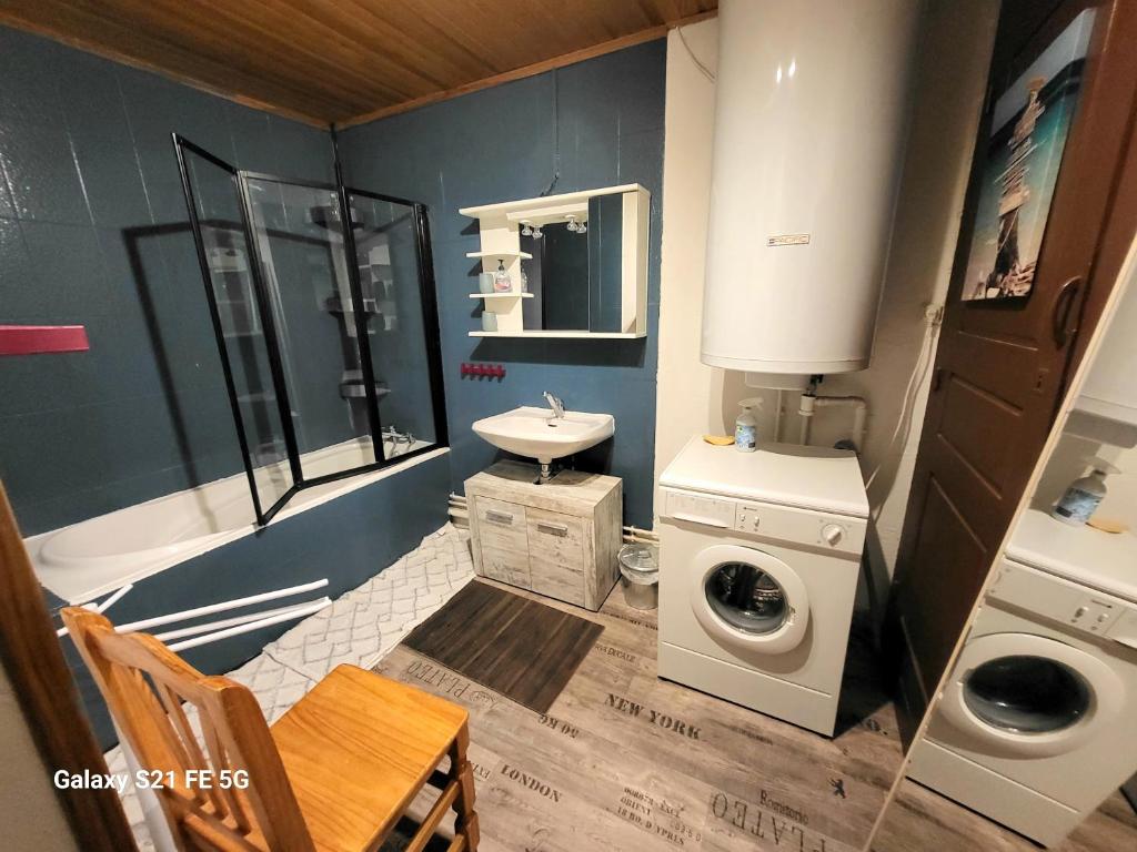 une petite salle de bains avec un lave-linge et un lavabo dans l'établissement Gîte du Grand Cher, aux Rousses