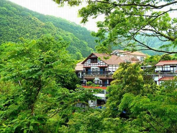 un bâtiment au milieu d'une forêt d'arbres dans l'établissement Shirakabe, à Izu