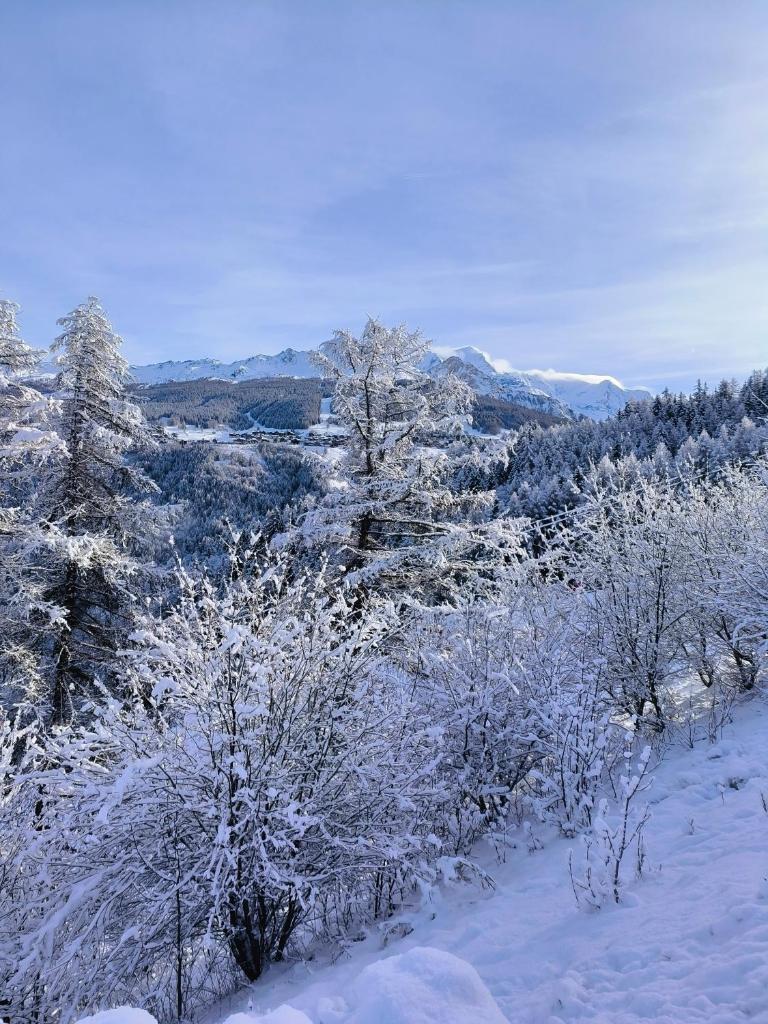 un champ enneigé avec des arbres et des montagnes dans l'établissement Résidence Le Rami Les Coches - La Plagne, à La Plagne Tarentaise