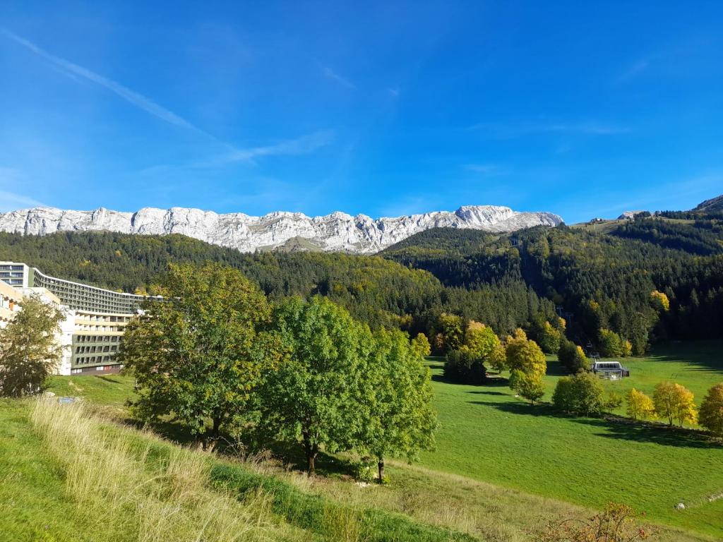 un champ verdoyant avec des arbres et des montagnes en arrière-plan dans l'établissement les glovettes Villard de lans, à Villard-de-Lans