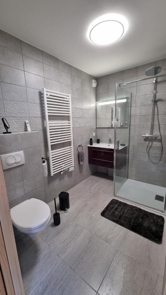 une salle de bain avec une douche, des toilettes et un lavabo dans l'établissement Les Chalets du Petit Châtel, à Châtel