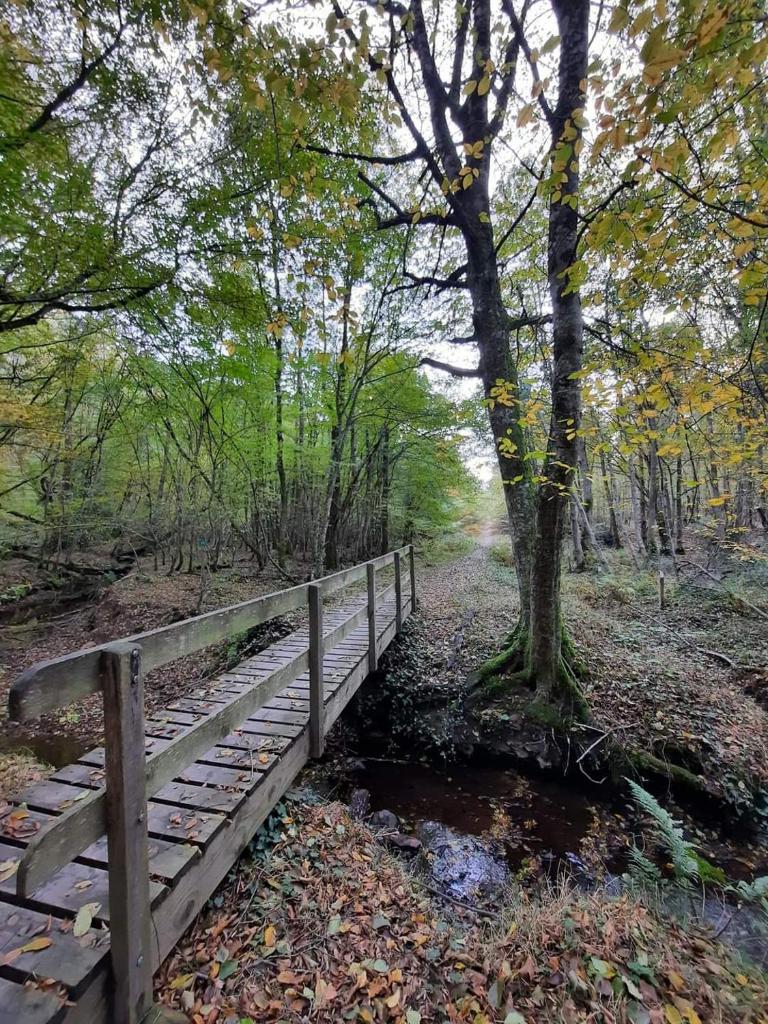 Photo de la galerie de l'établissement La Yourte de Tronçais, à Saint-Bonnet-Tronçais
