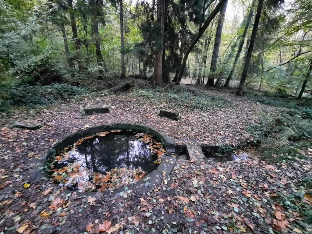 Photo de la galerie de l'établissement La Yourte de Tronçais, à Saint-Bonnet-Tronçais 2 autres photos