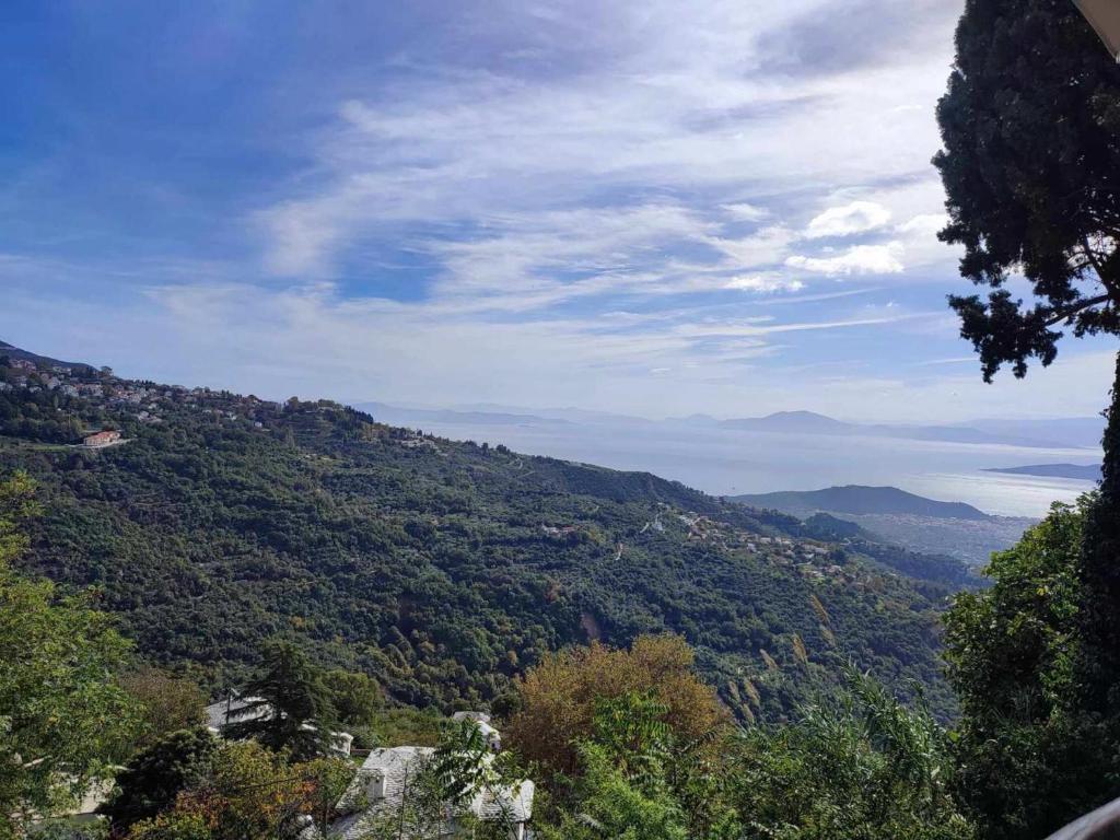 The View House Portaria Pelion 7