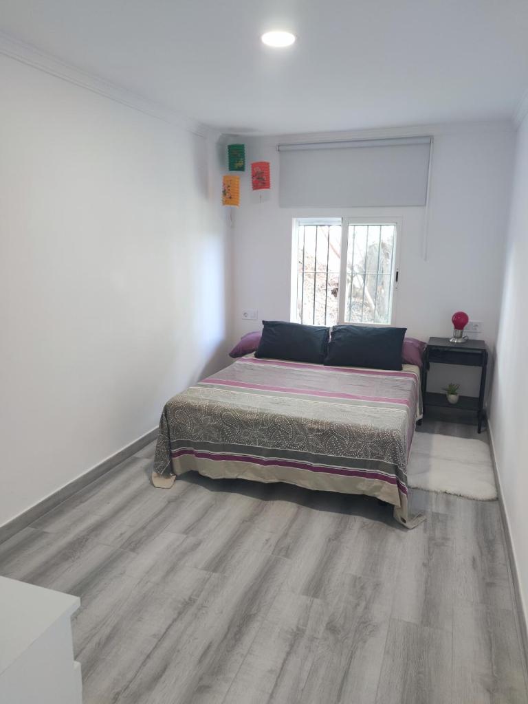 Planta independiente en Villa Primavera 7