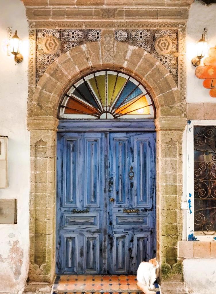 un chat assis devant une porte bleue dans l'établissement Riad Le Grand Large, à Essaouira