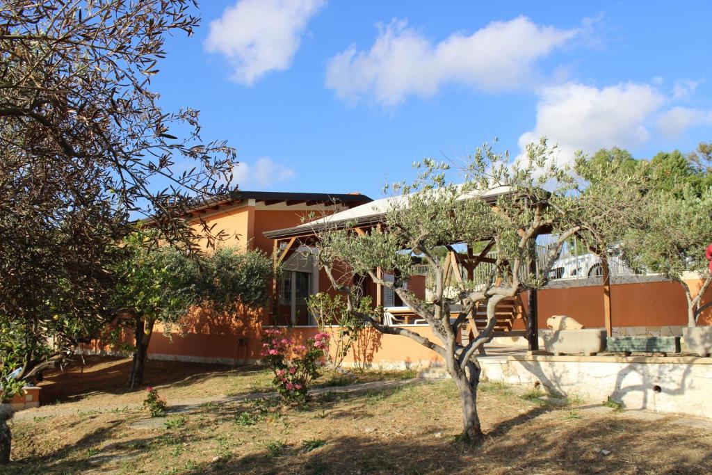 Antico Ulivo 5