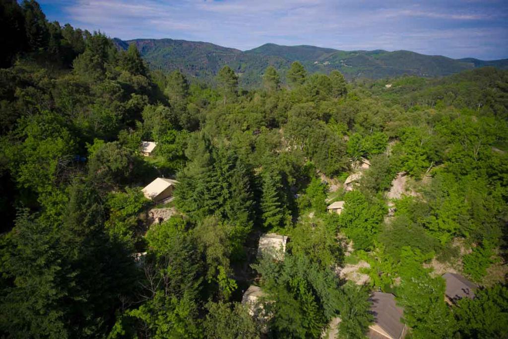 une vue sur une forêt plantée d'arbres et de maisons dans l'établissement Bivouac nature, Tentes Lodges dans les Cévennes, à Saint-Jean-du-Gard 8 autres photos