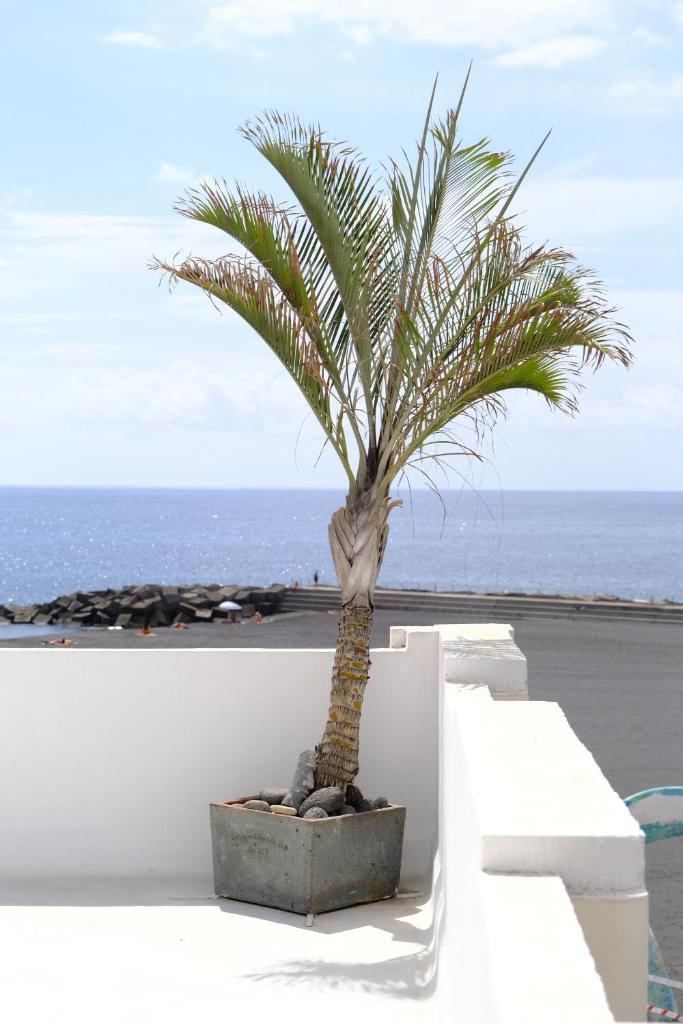 Rooftop Dreamhouse - 3BR with Seaviews 8
