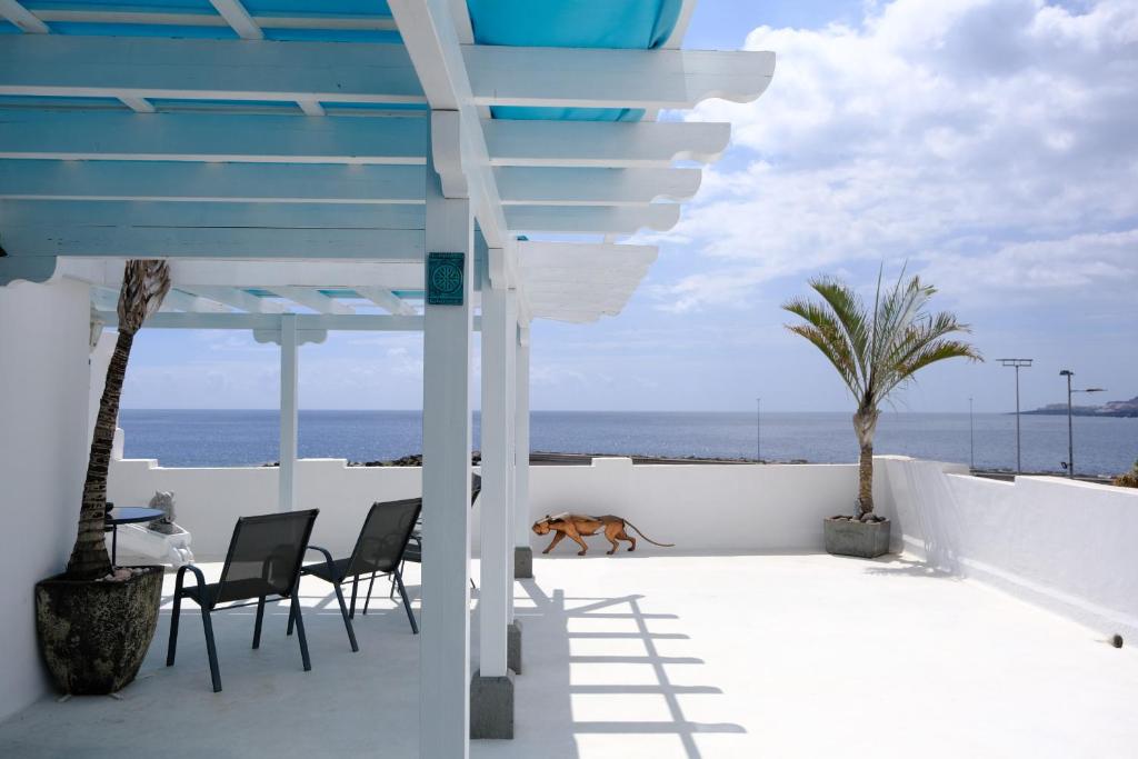 Rooftop Dreamhouse - 3BR with Seaviews 5