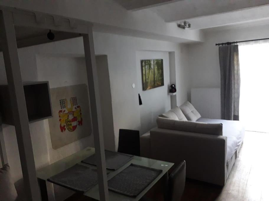LOFT im Erdgeschoss, Kreuzbergl, 45qm, 1-3 Gäste, gratis Parkplätze & Self Check-in 7