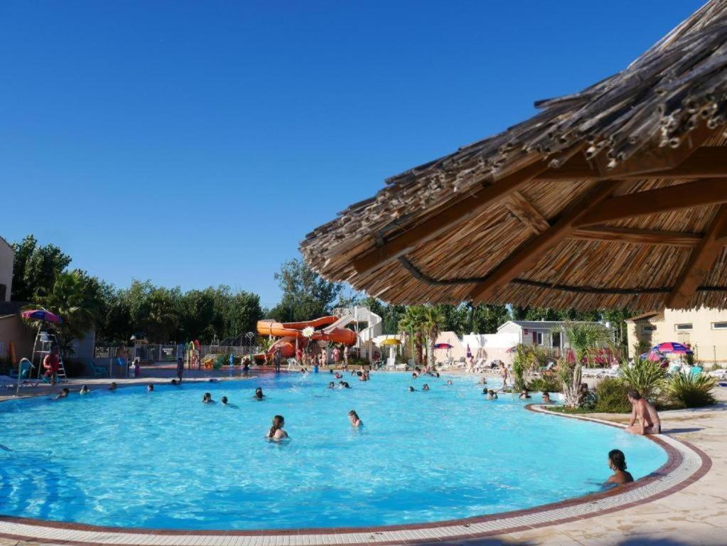 un groupe de personnes dans une piscine d'un complexe hôtelier dans l'établissement Super mobil-home aux Sables du Midi, à Sérignan