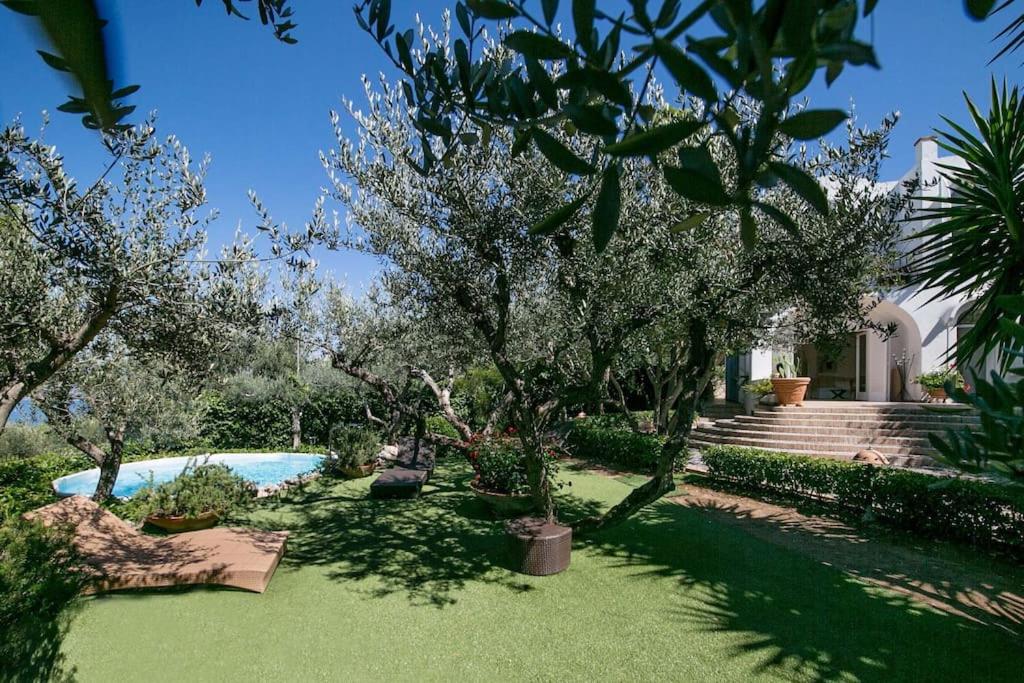un jardin avec des arbres et une piscine dans l'établissement Luxury Villa Zaffiro - Pool, Garden and Sea View, à Anacapri