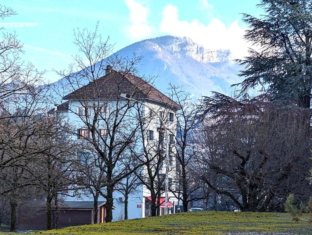 Merci Annecy - Parking et Proche du Lac 6