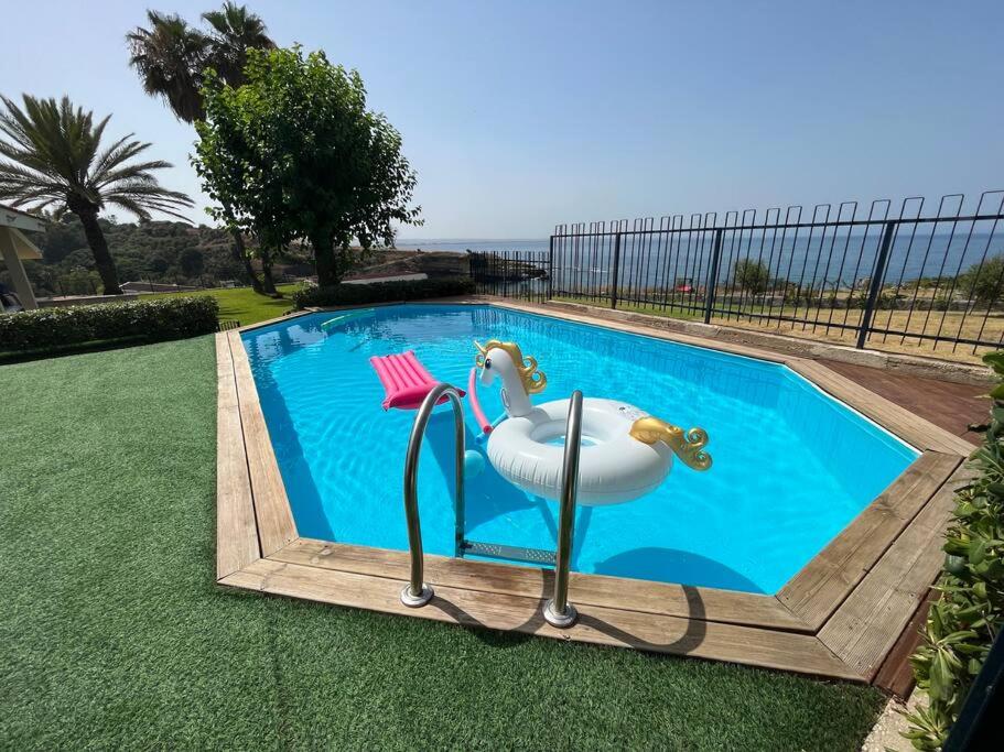 une piscine avec deux cygnes dans l'herbe dans l'établissement SERENDIPITY VILLA sea view, sun and Etna, à Agnone Bagni