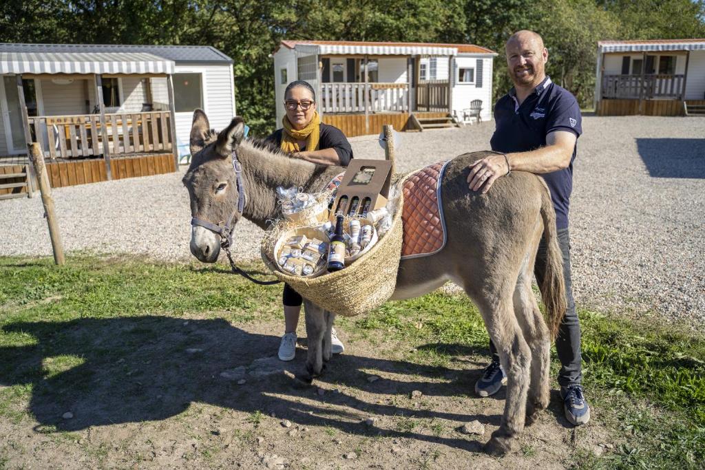 deux hommes debout à côté d'un âne avec un panier de nourriture dans l'établissement TENTE AU PLUS PROCHE DES ÂNES, à Bressuire