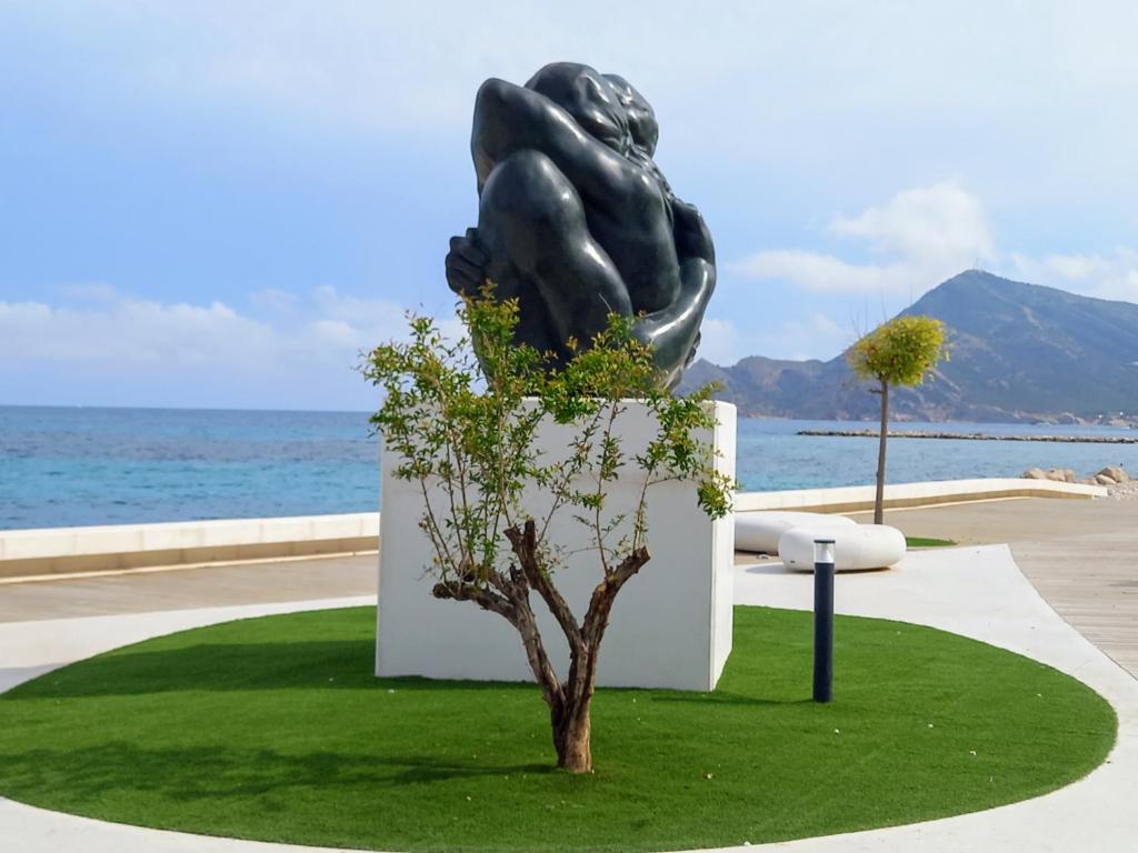 Altea Olivos G 7