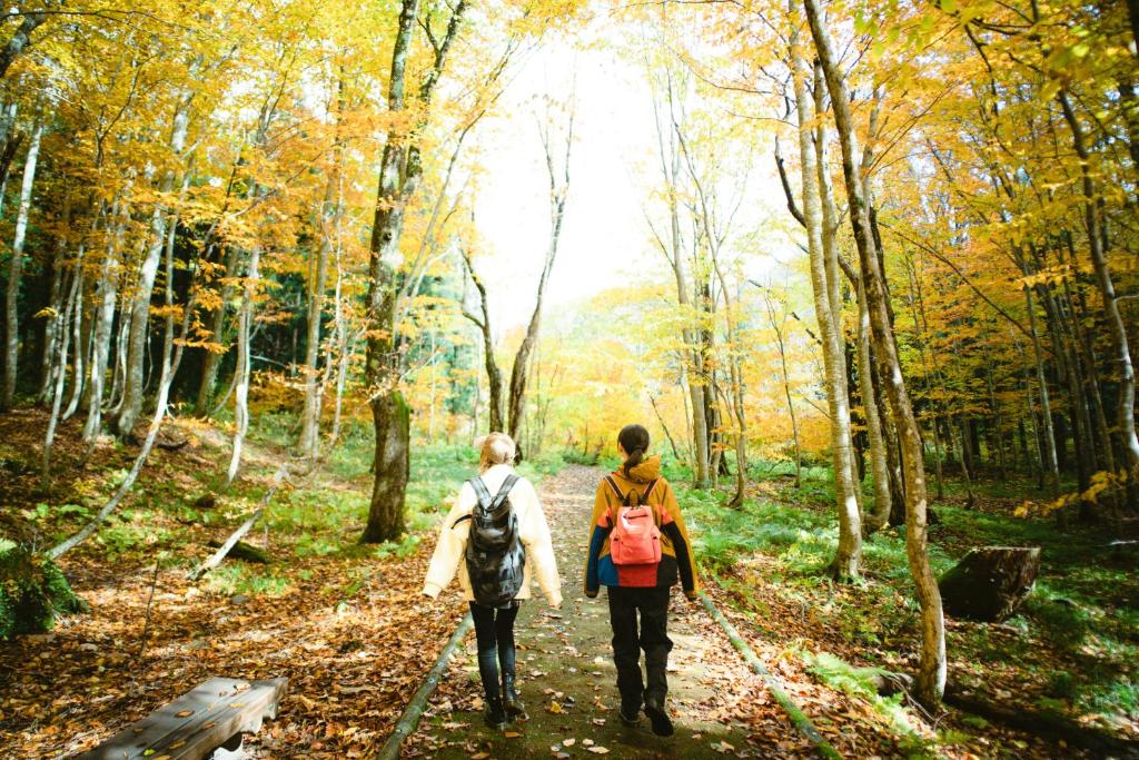 2 personnes marchant sur un sentier dans les bois dans l'établissement Hotel Yutoria Fujisato, à Fujisato 37 autres photos