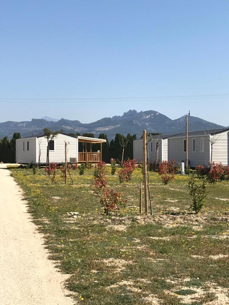 un chemin de terre à côté d'un champ arboré dans l'établissement Camping des Favards, à Violès