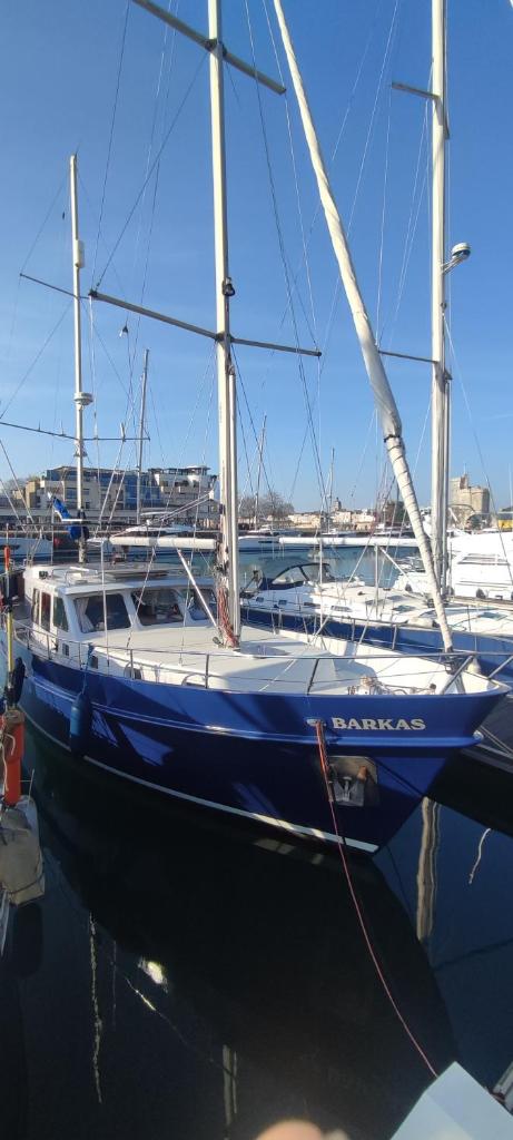 Photo de la galerie de l'établissement Barkas, à La Rochelle