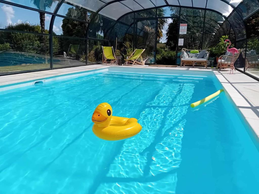 un canard en caoutchouc jaune flottant dans une piscine dans l'établissement Le Manoir de KEROFIL, à Guiclan 21 autres photos