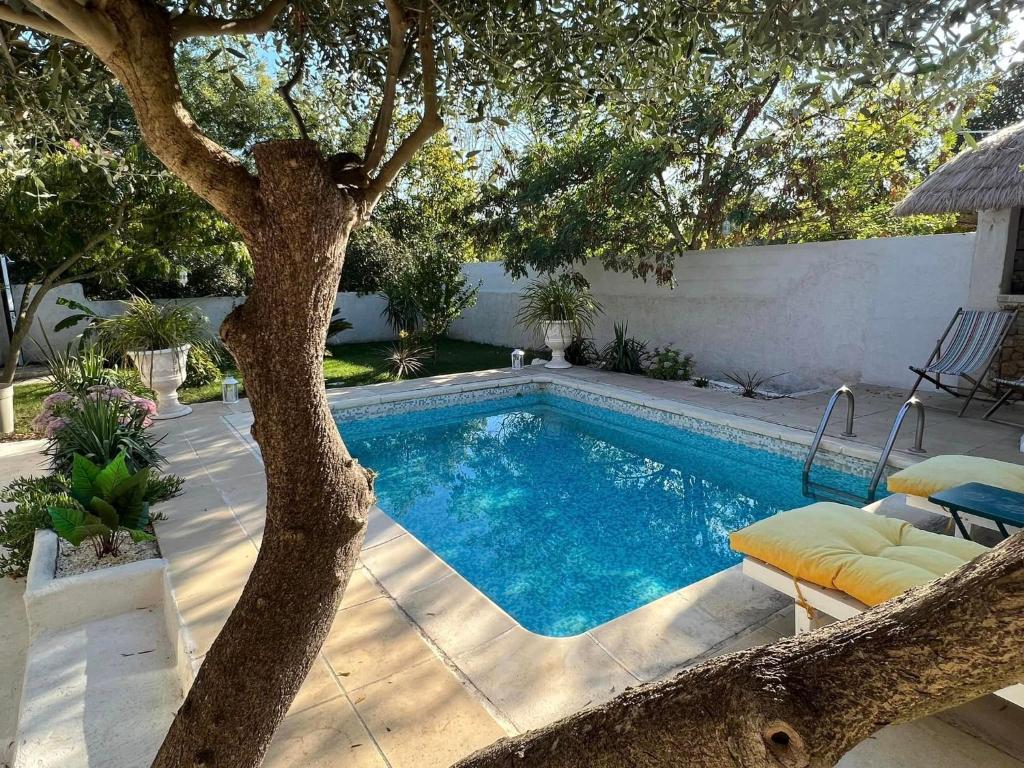 - une piscine avec un arbre à côté dans l'établissement Cabane la Clef des Champs au Mas des Entrages, à Salon-de-Provence