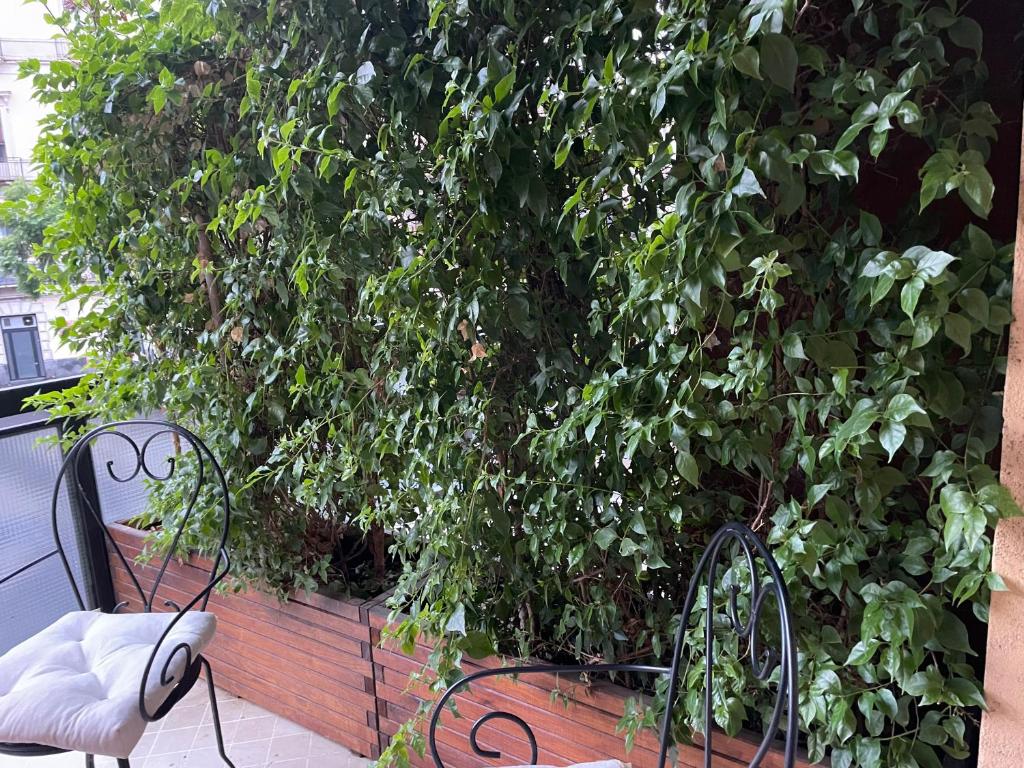 CESARE'S HOME 7