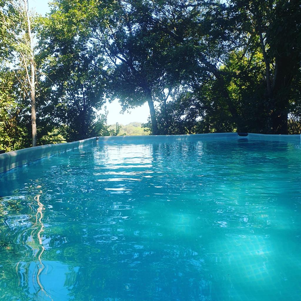 un bassin d'eau bleue avec des arbres en arrière-plan dans l'établissement Camping d'Artagnan, à Margouët-Meymès