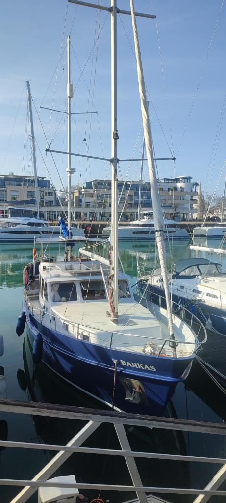 Photo de la galerie de l'établissement Barkas, à La Rochelle