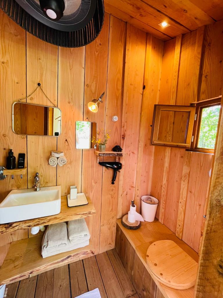 La salle de bains est pourvue d'un lavabo dans un mur en bois. dans l'établissement Dôme insolite Cèdre jacuzzi et petits déjeuners inclus, à Lagraulet-du-Gers