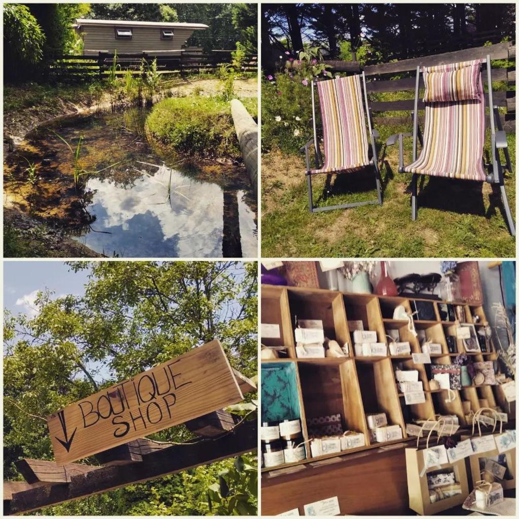 un collage d'images avec un panneau de librairie et un banc dans l'établissement Roulotte irlandaise Polly, à Saint-Vincent-en-Bresse