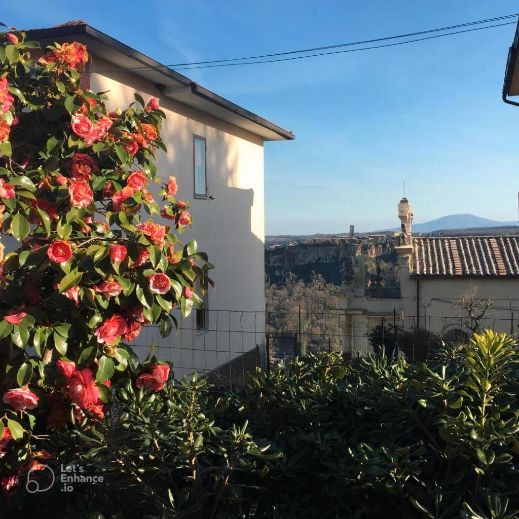 Civita's 1