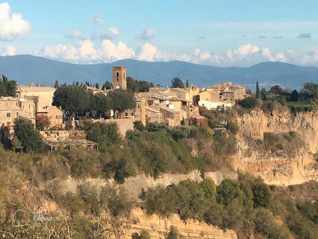 Civita's 6