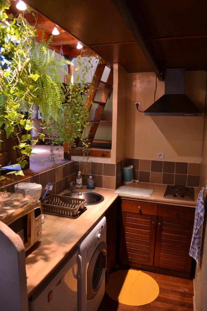 une cuisine avec un évier et une cuisinière four supérieur dans l'établissement Péniche Espoir, à Avignon