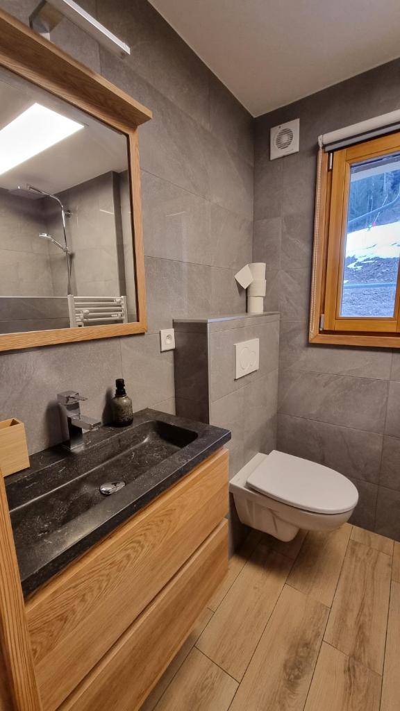 une salle de bain avec un lavabo, des toilettes et un miroir dans l'établissement L'Étoile du Linga, à Châtel