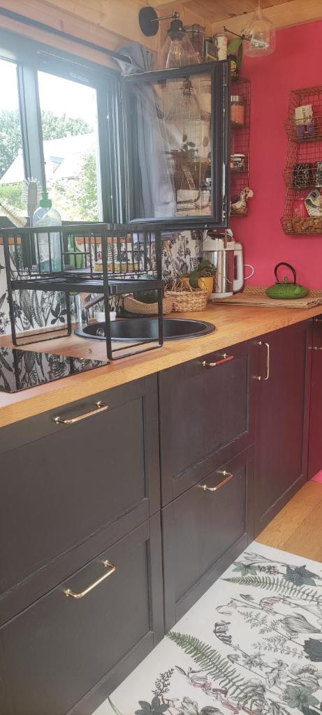 - une cuisine avec un comptoir et une cuisinière four supérieur dans l'établissement Tiny house bucolique, à Saint-Brieuc-de-Mauron