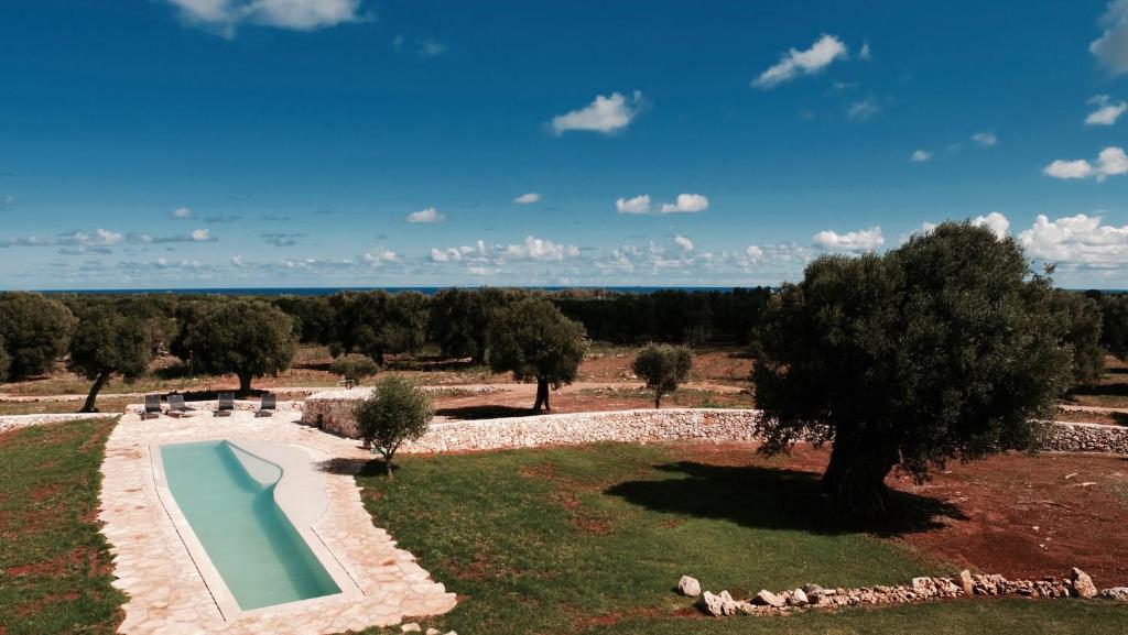- une vue sur la piscine située dans un champ avec un arbre dans l'établissement trullo contemporaneo, à Serranova