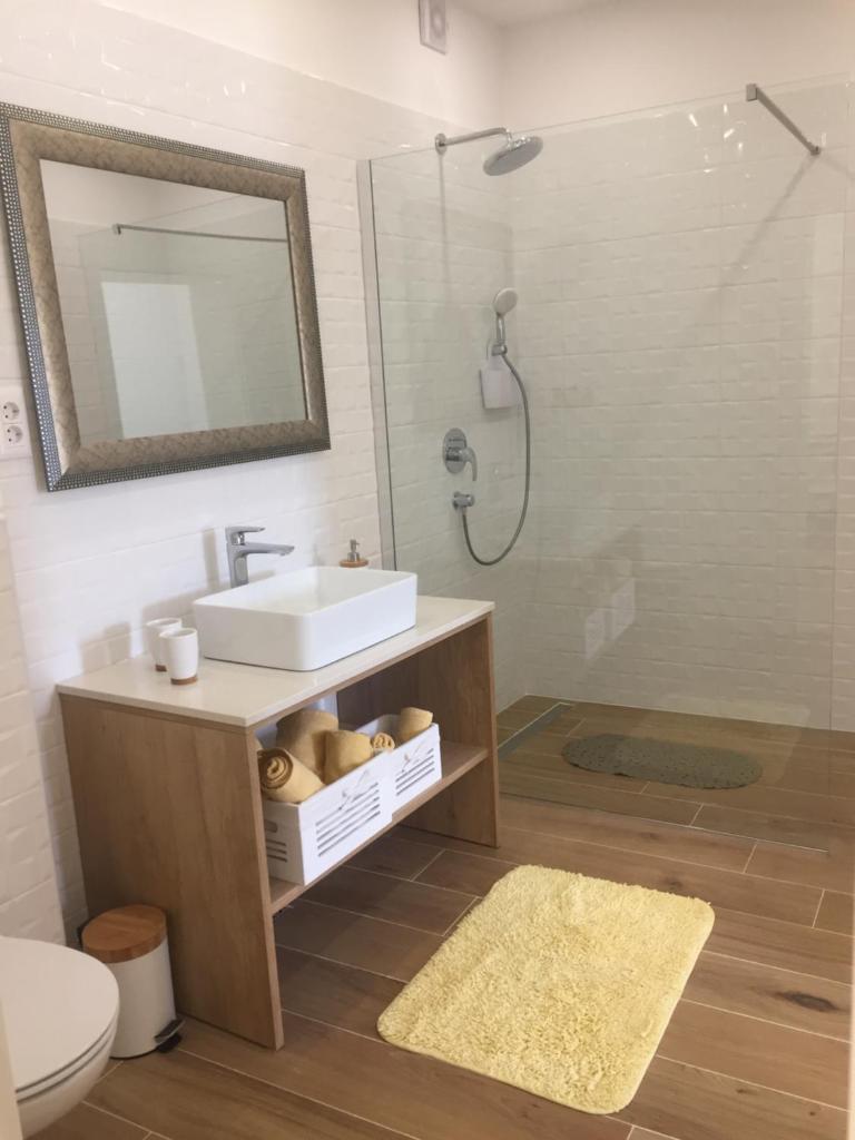 Apartments Antonia 3