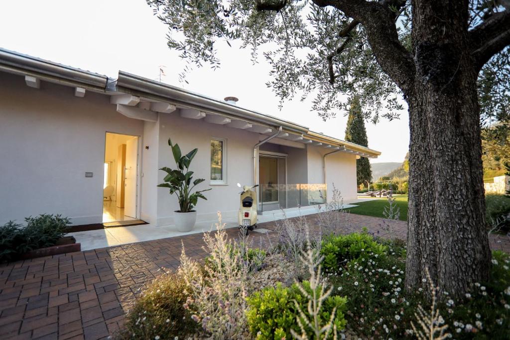 une maison blanche avec un arbre et une allée dans l'établissement Villa F, à Bardolino